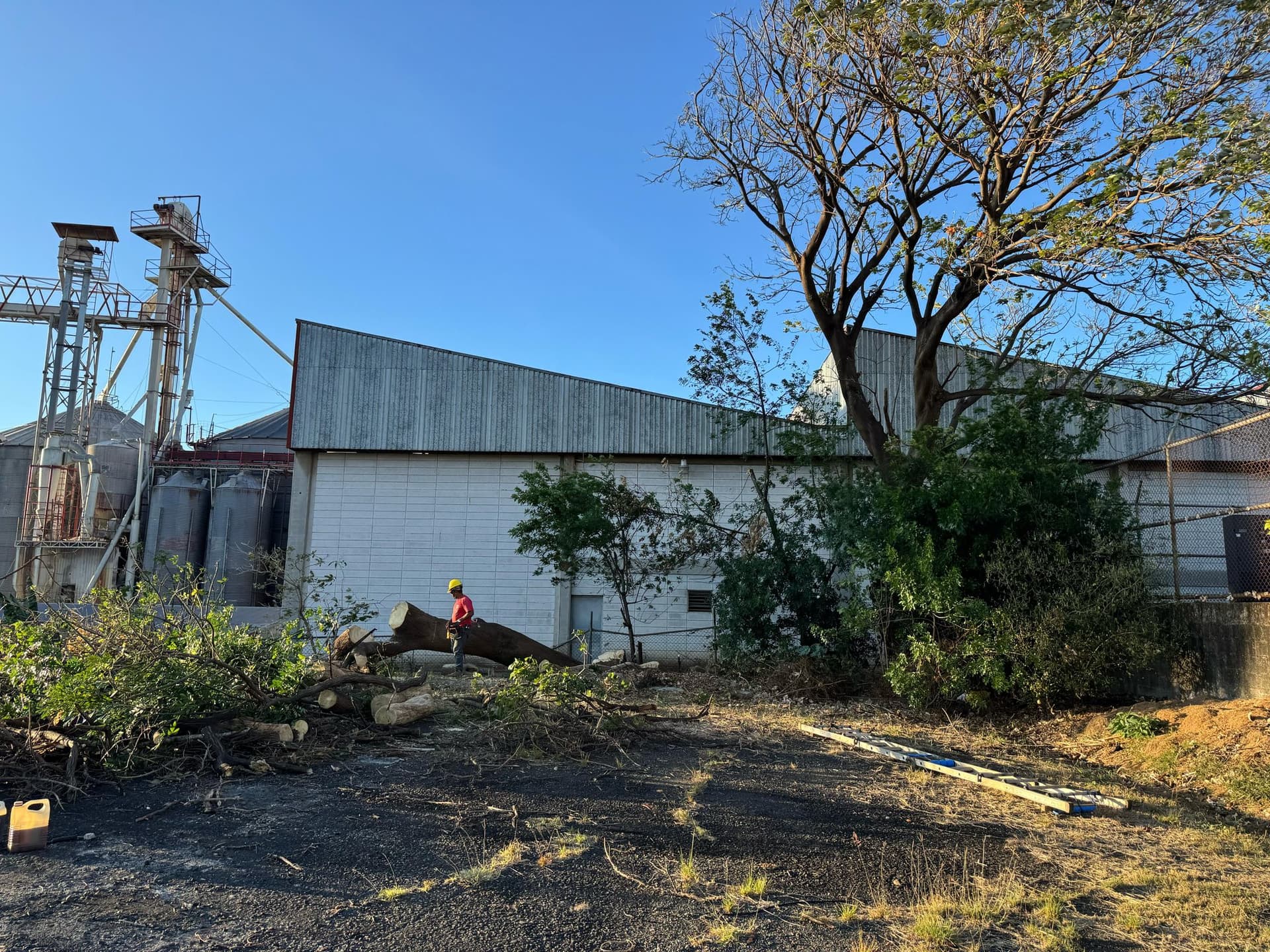 Restauración Jardín Histórico