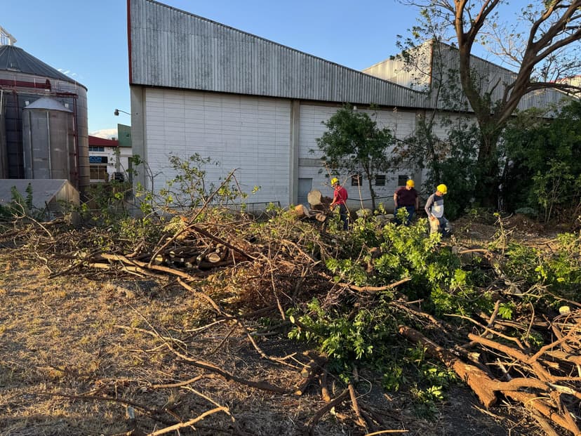 Restauración Jardín Histórico